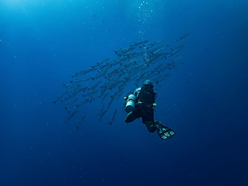 Underwater Adventure